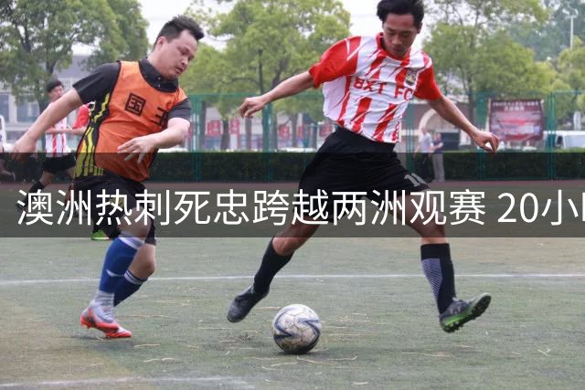 澳洲热刺死忠跨越两洲观赛 20小时满背纹身致敬欧联杯荣耀